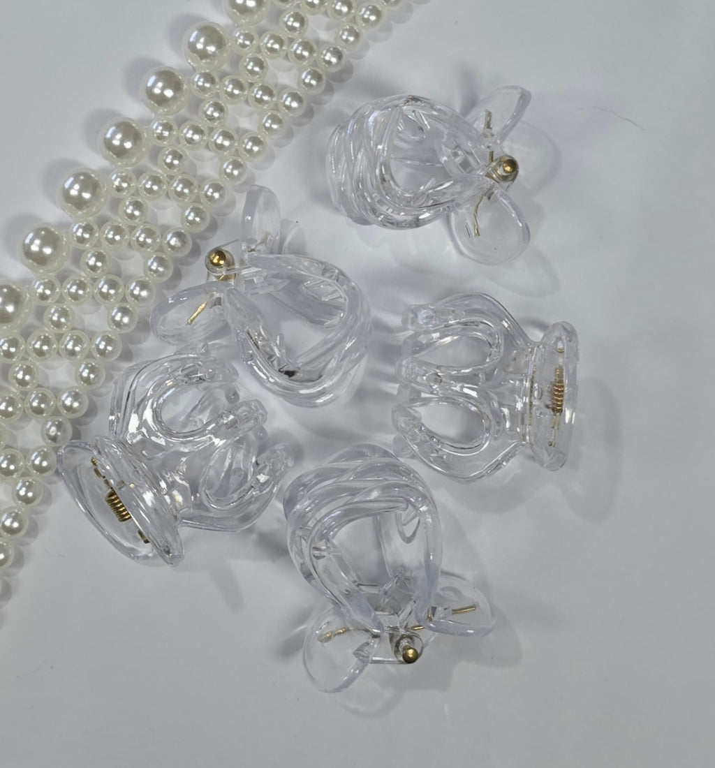 Small Claw Hair Clips pack of 5